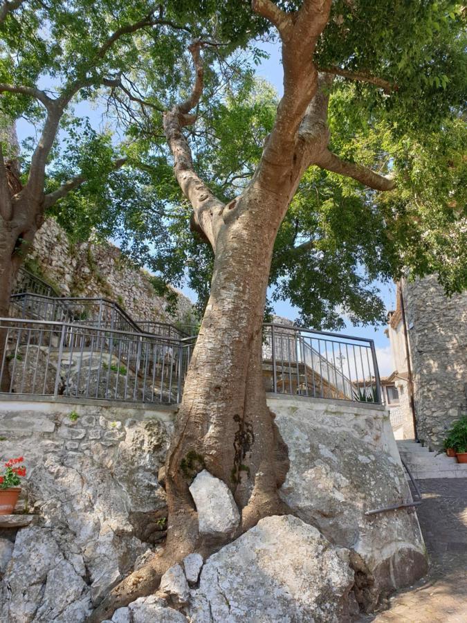 Casa Di Mamma Rosa Villa Castelnuovo Parano Eksteriør billede